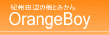 yf͔|EIBcӂ̔~Ƃ݂@orangeboy wIW{[Cx